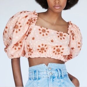 ZARA Pink & Tan embroidered Crop Top with Puff Sleeves